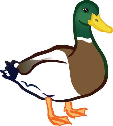 duck images clipart|duck clip art transparent.